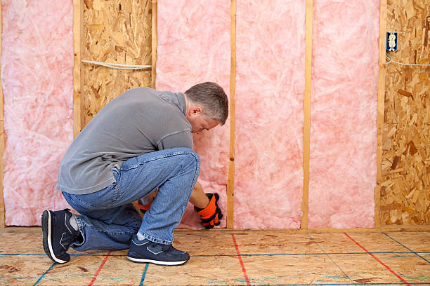 Best Insulation Maintenance and Repair in Traverse City, MI